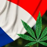 La Francia legalizza una volta per tutte i prodotti a base di cannabis light