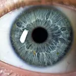 L'herpes oculare: cos'è come si cura?