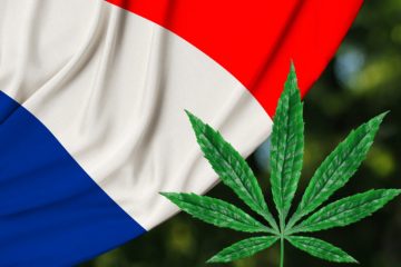 cannabis-francia